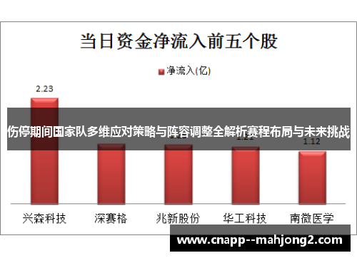 伤停期间国家队多维应对策略与阵容调整全解析赛程布局与未来挑战